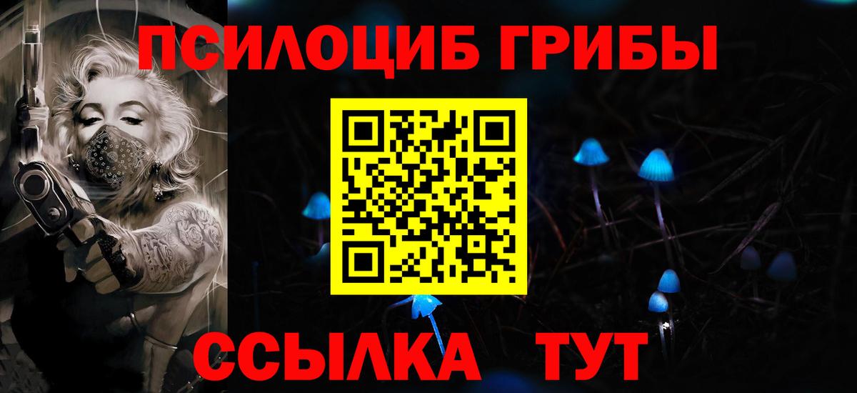 купить наркотики цена  Вход с VPN  Ковров  Псилоцибиновые грибы MAGIC MUSHROOMS 